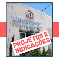 PROJETOS E INDICAÇÕES APROVADOS NA SESSÃO ORDINÁRIA DE 14 DE OUTUBRO DE 2019.